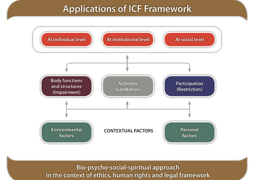 Colour image showing the Applications of the 2001 WHO ICF Framework
